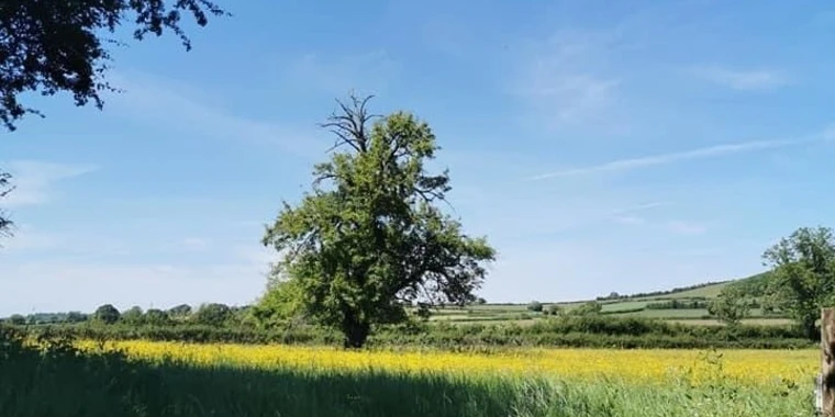 creator header picture