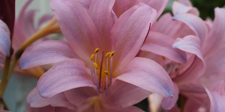 creator header picture