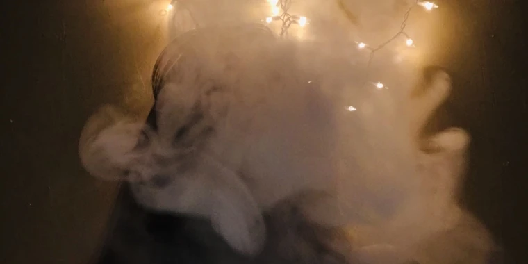 creator header picture