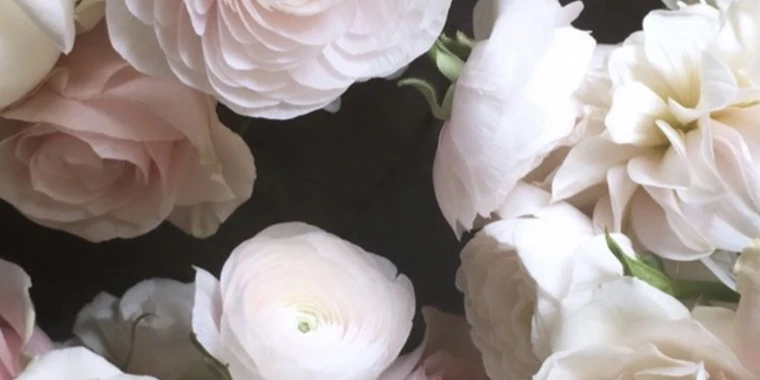 creator header picture