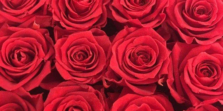 creator header picture