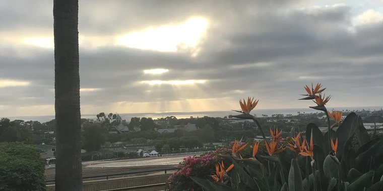 creator header picture