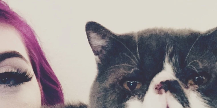 creator header picture