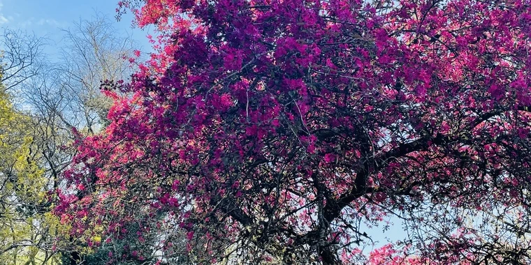 creator header picture
