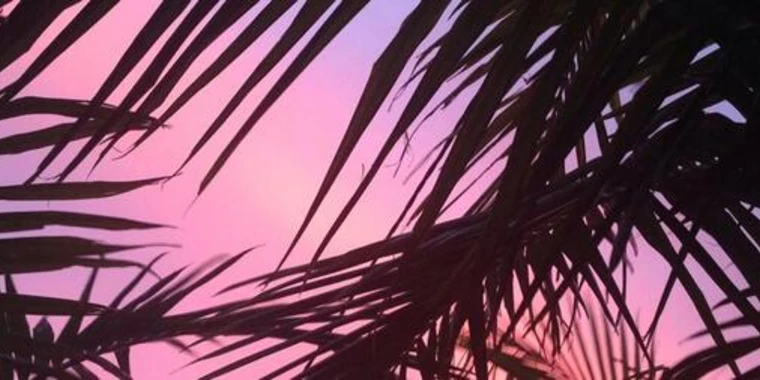 creator header picture