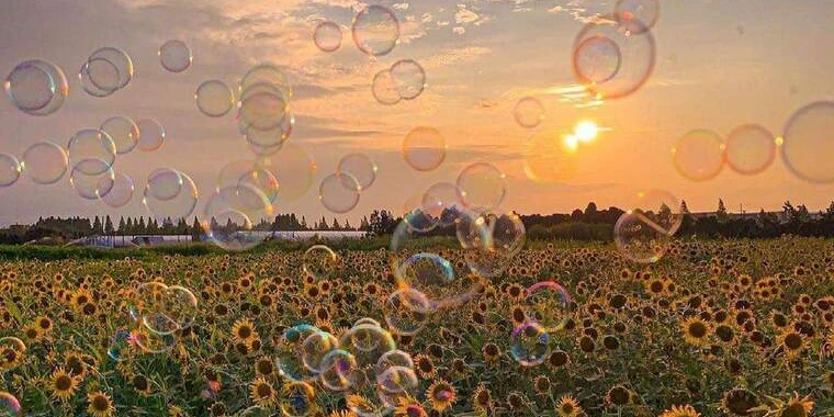 creator header picture