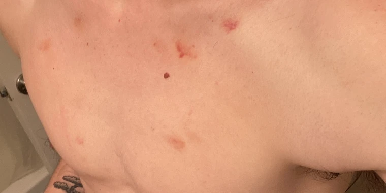 creator header picture
