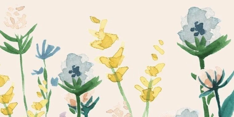 creator header picture