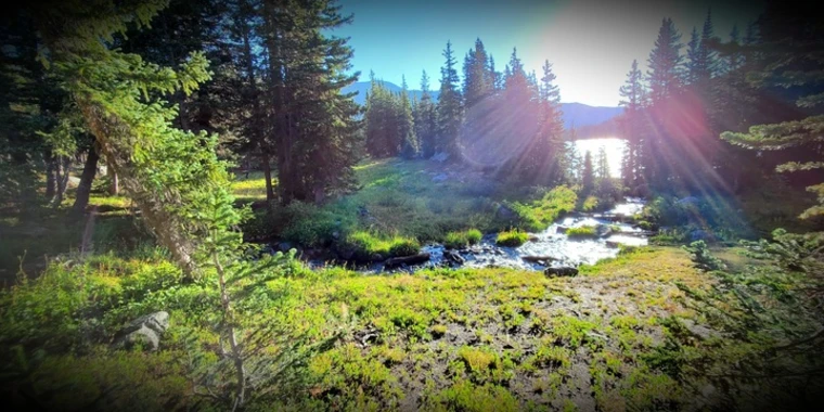creator header picture
