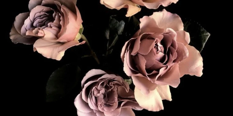 creator header picture