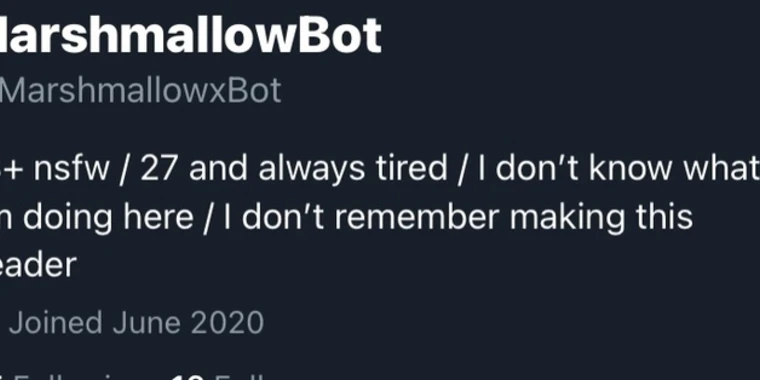 creator header picture
