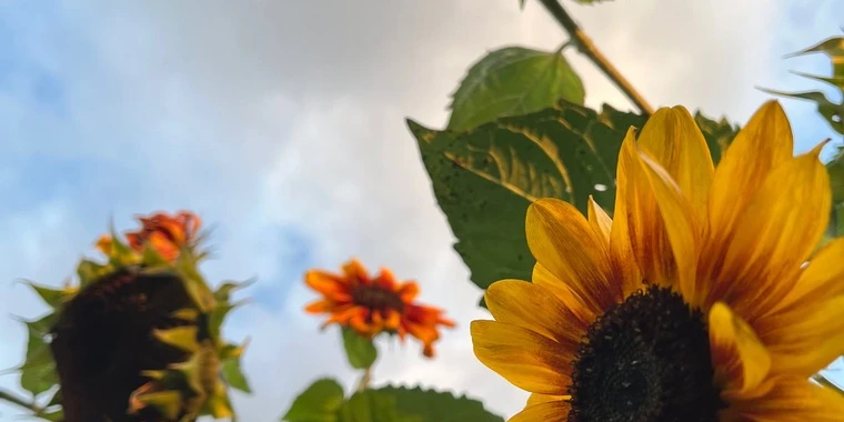 creator header picture