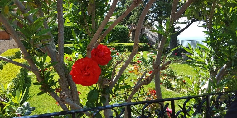 creator header picture