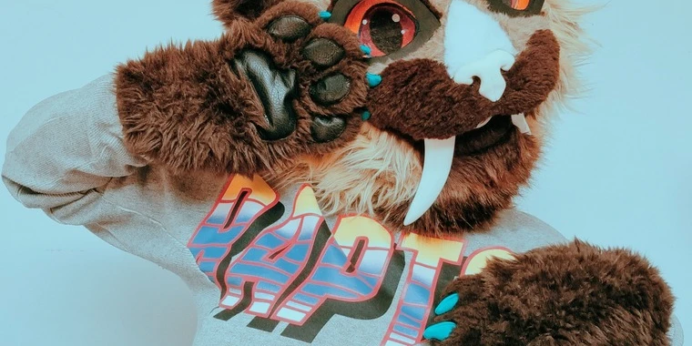 creator header picture