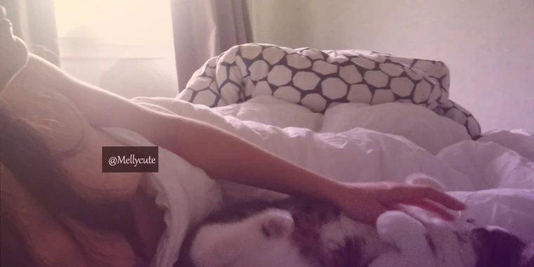 creator header picture