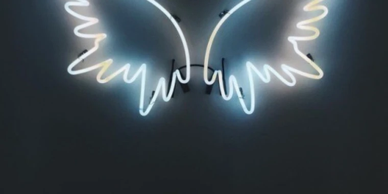 creator header picture