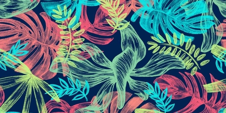 creator header picture