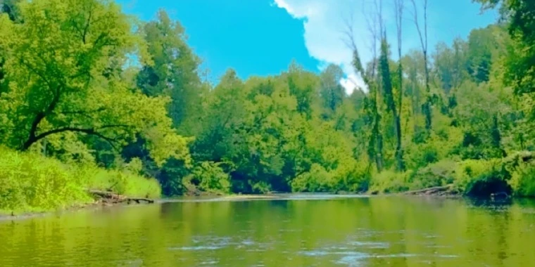 creator header picture