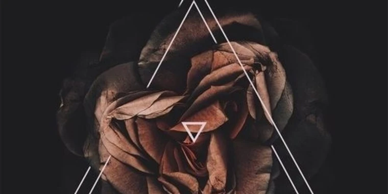 creator header picture