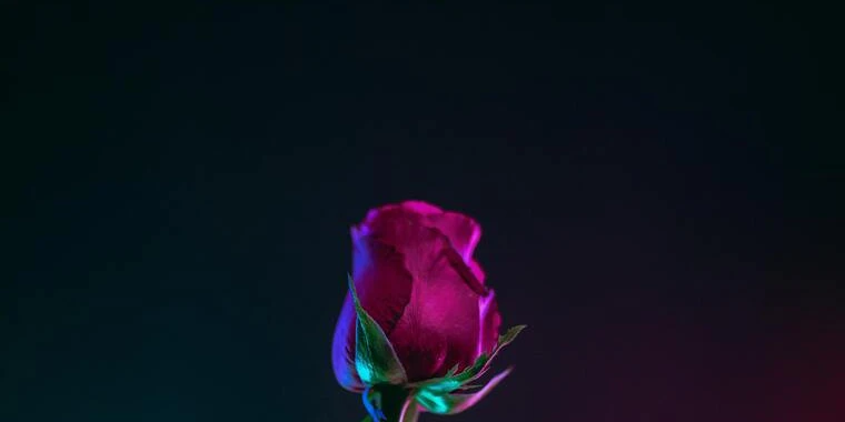 creator header picture