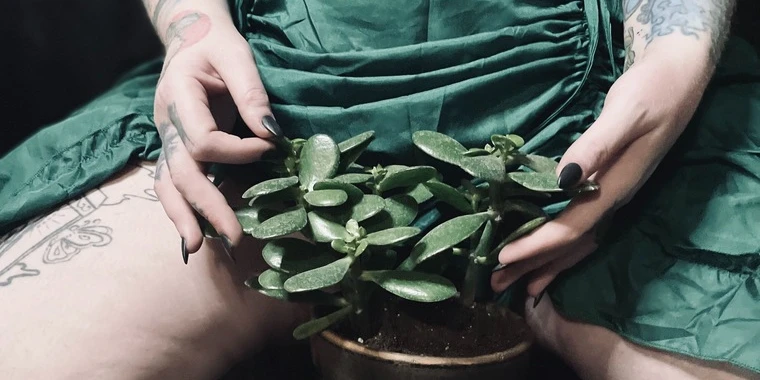 creator header picture