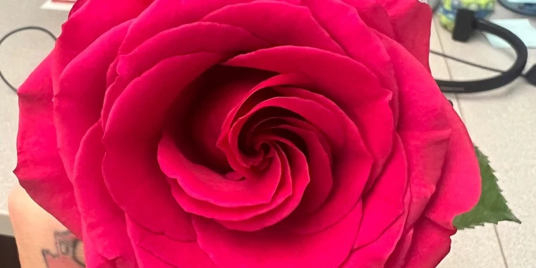 creator header picture