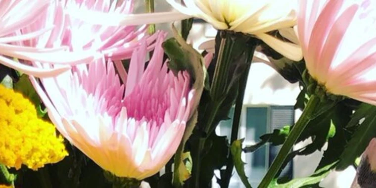creator header picture