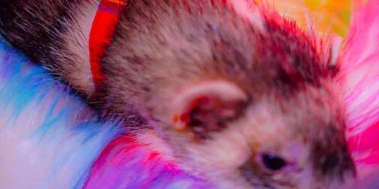 creator header picture