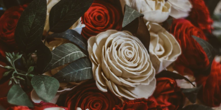 creator header picture