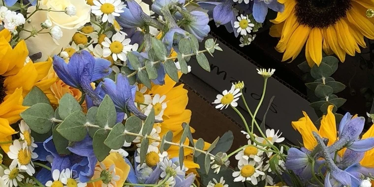 creator header picture
