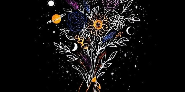 creator header picture
