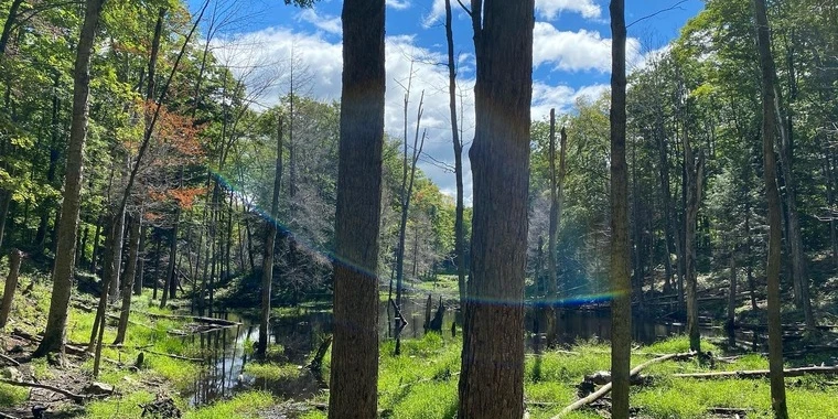 creator header picture