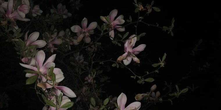 creator header picture