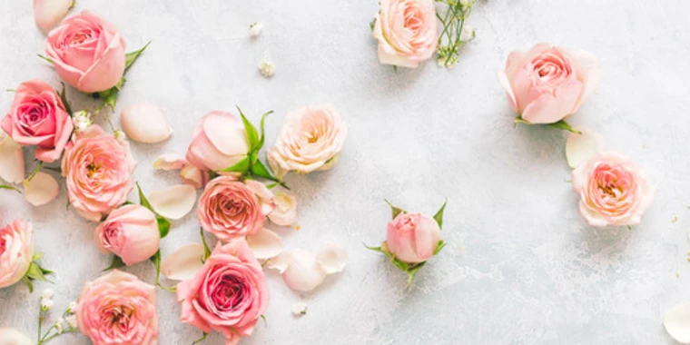 creator header picture