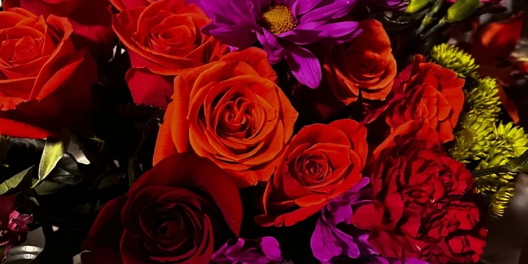 creator header picture