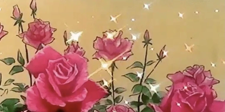 creator header picture