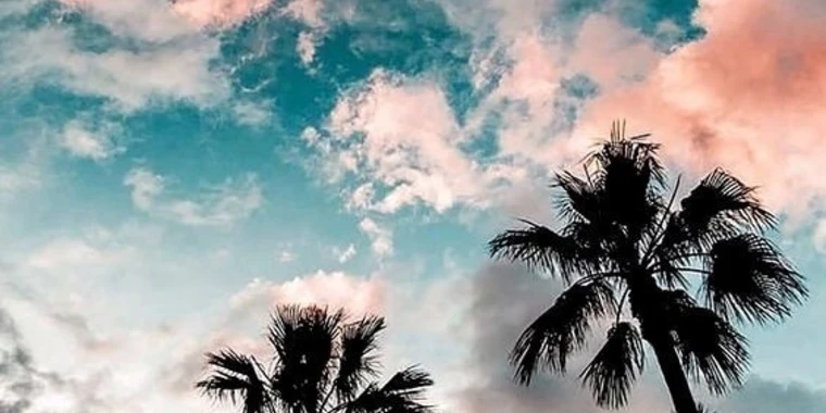 creator header picture
