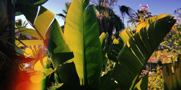 creator header picture