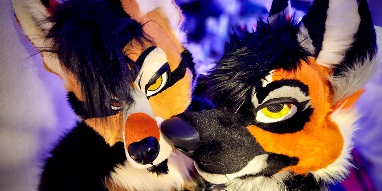 creator header picture
