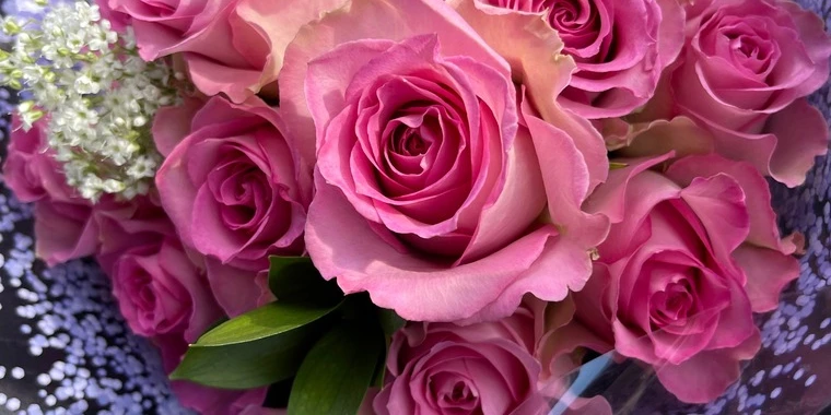 creator header picture