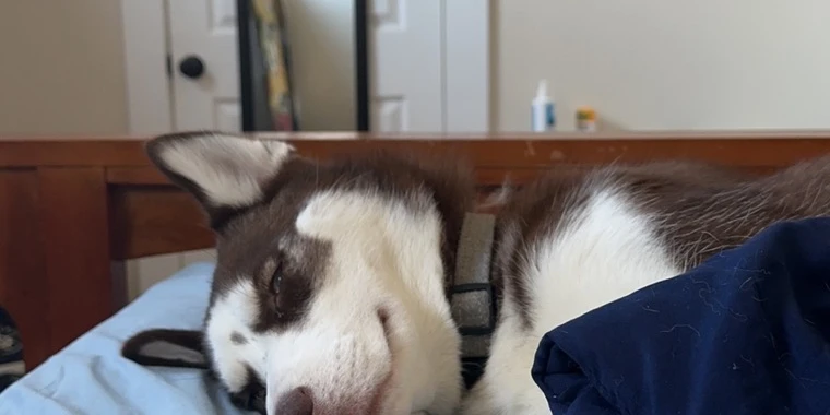 creator header picture