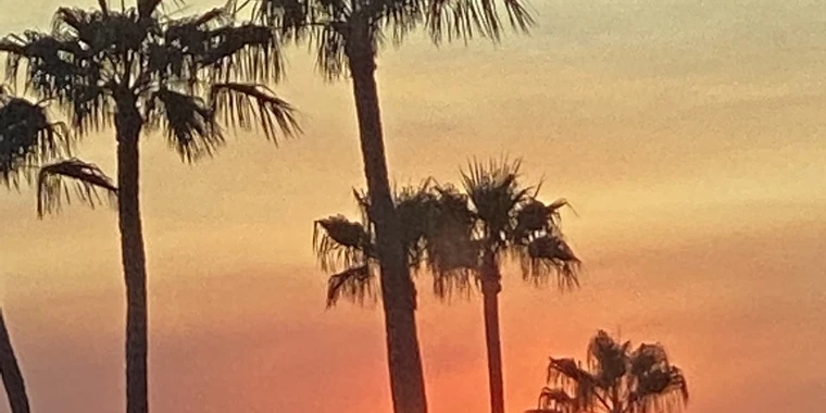 creator header picture