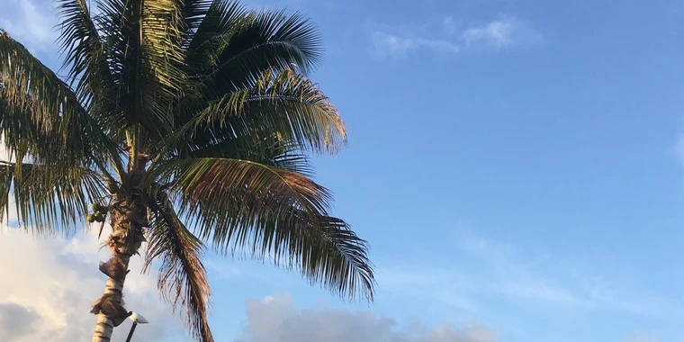 creator header picture