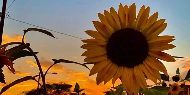 creator header picture
