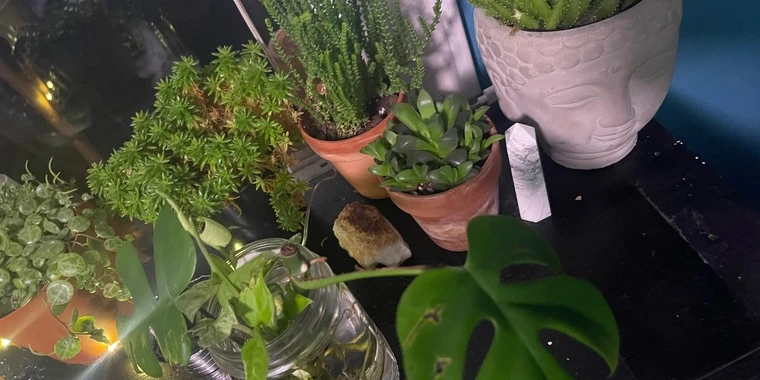 creator header picture