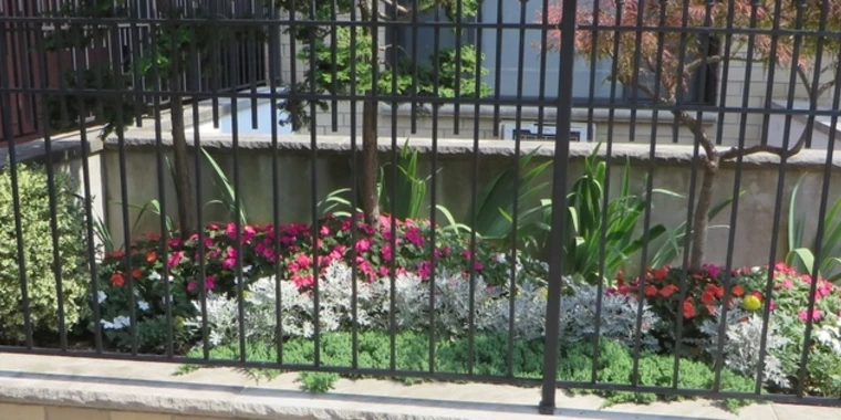 creator header picture