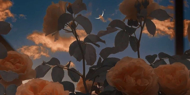 creator header picture