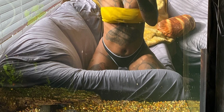 creator header picture