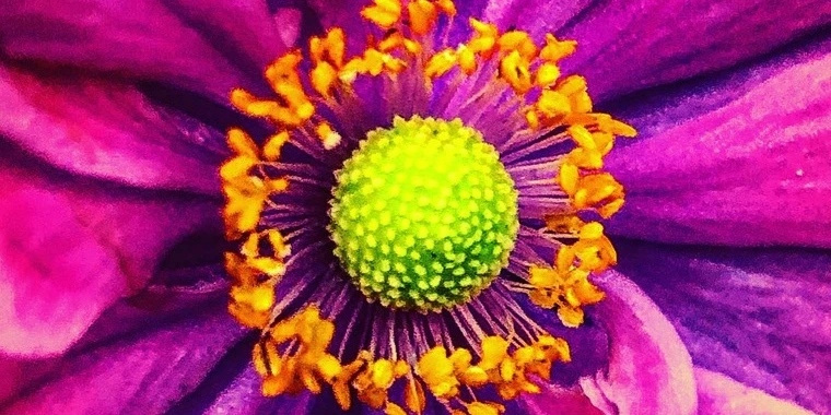 creator header picture