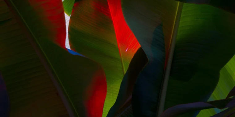 creator header picture
